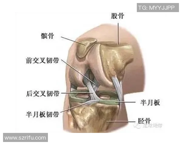 足球明星长胖的原因揭秘运动生活饮食习惯与心理压力的影响分析